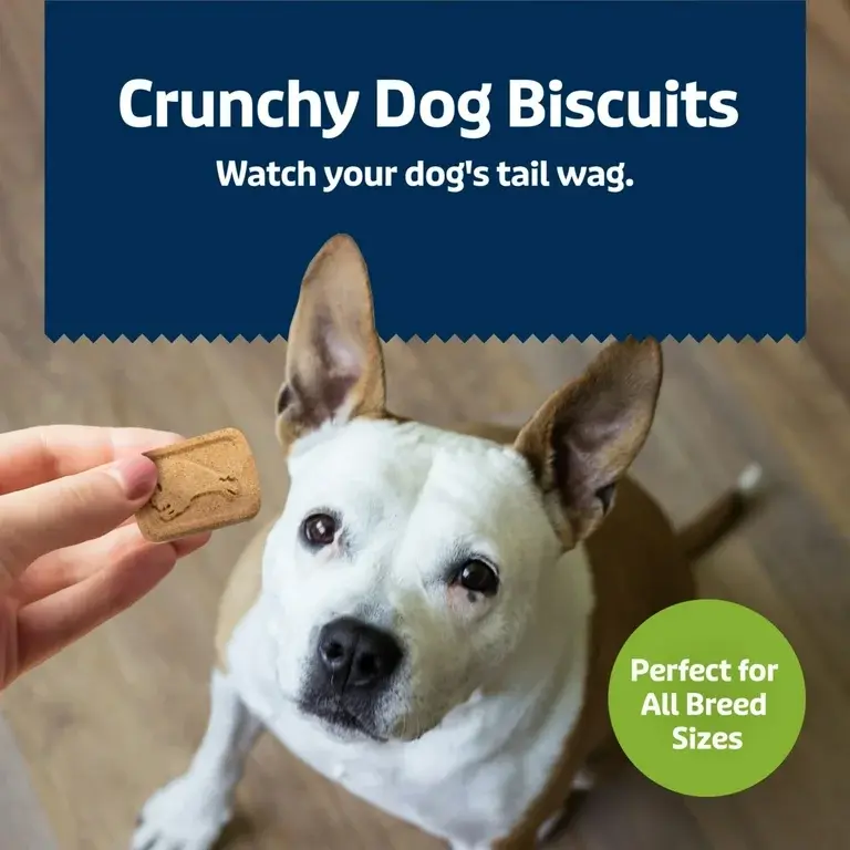 Miniatura: Blue Buffalo Health Bars Crunchy Dog Biscuits, Apples & Yogurt, 16-oz. Bag