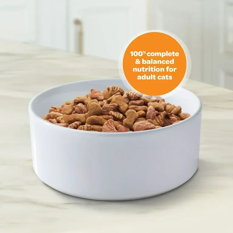 Thumbnail: 9Lives Daily Essentials Dry Cat Food, 3.15 lb. Bag