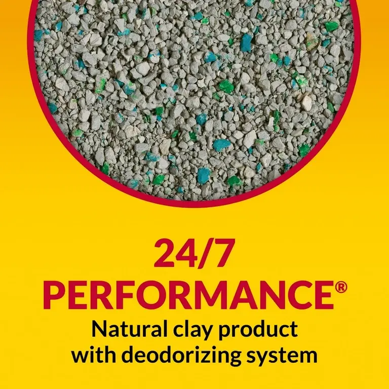 Miniatura: Purina Tidy Cats Non-Clumping Litter, 24/7 Performance Odor Control 30lbs