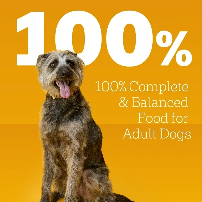 Miniatura: Pedigree Choice Cuts In Gravy Adult Dog Food With Beef Multipack, 13.2oz 12ct.