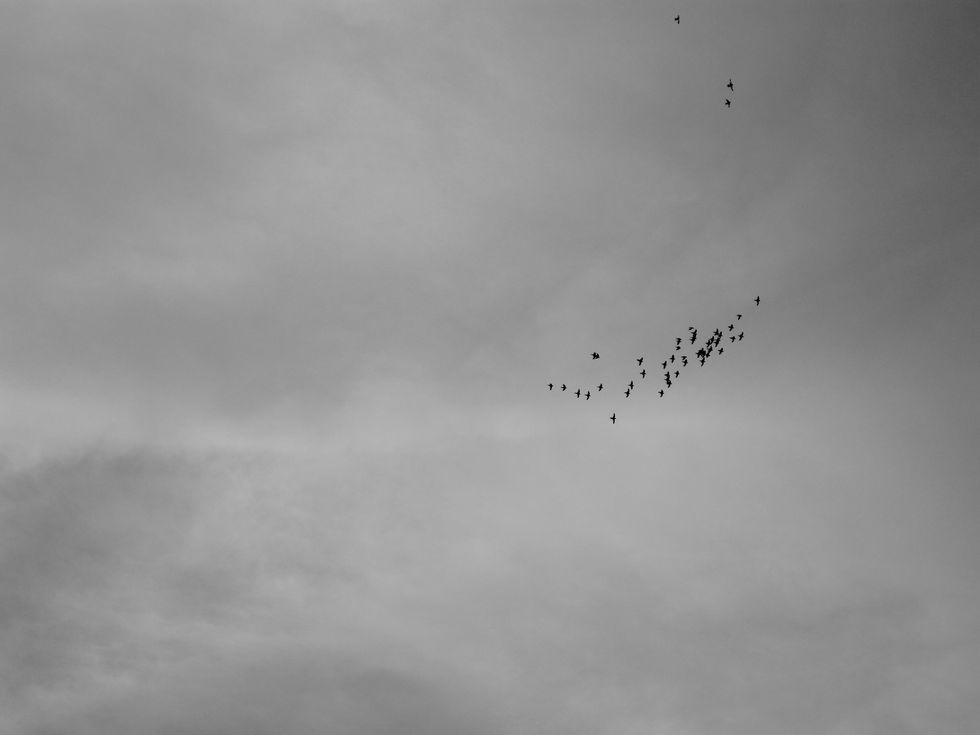 IMG_9186