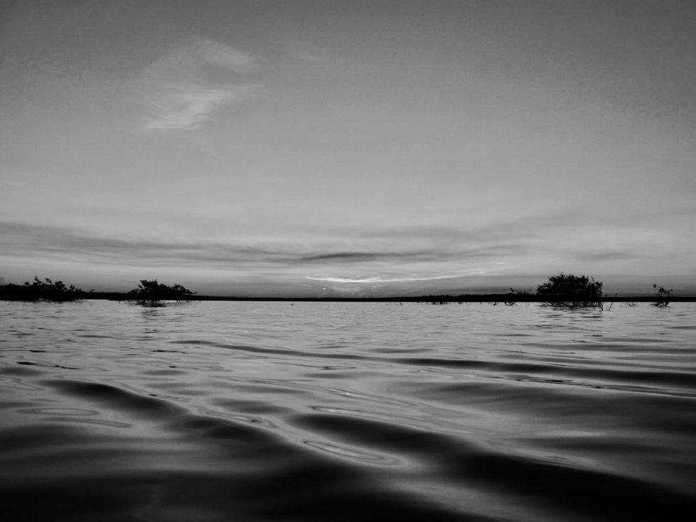 IMG_0100