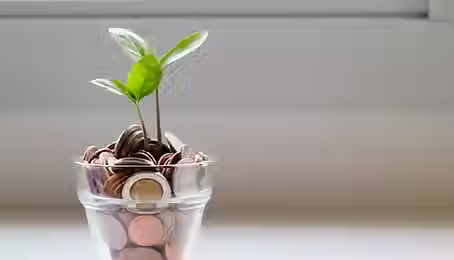 Plant sprouting out of a cup of coins