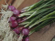 Spring Onions: A Culinary Staple