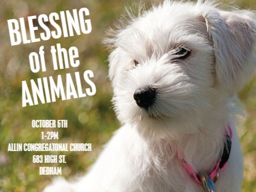 Blessing of the Animals