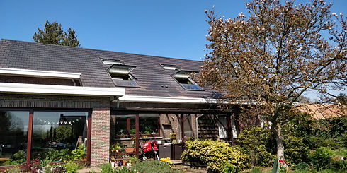 Issabelle Houtekier Renovatie hellend dak Zoersel.jpeg