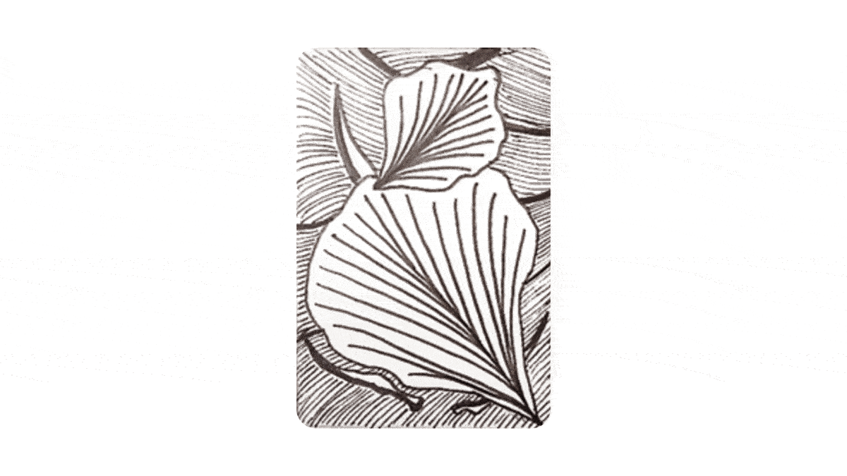 ezgif.com-optimize (2).gif