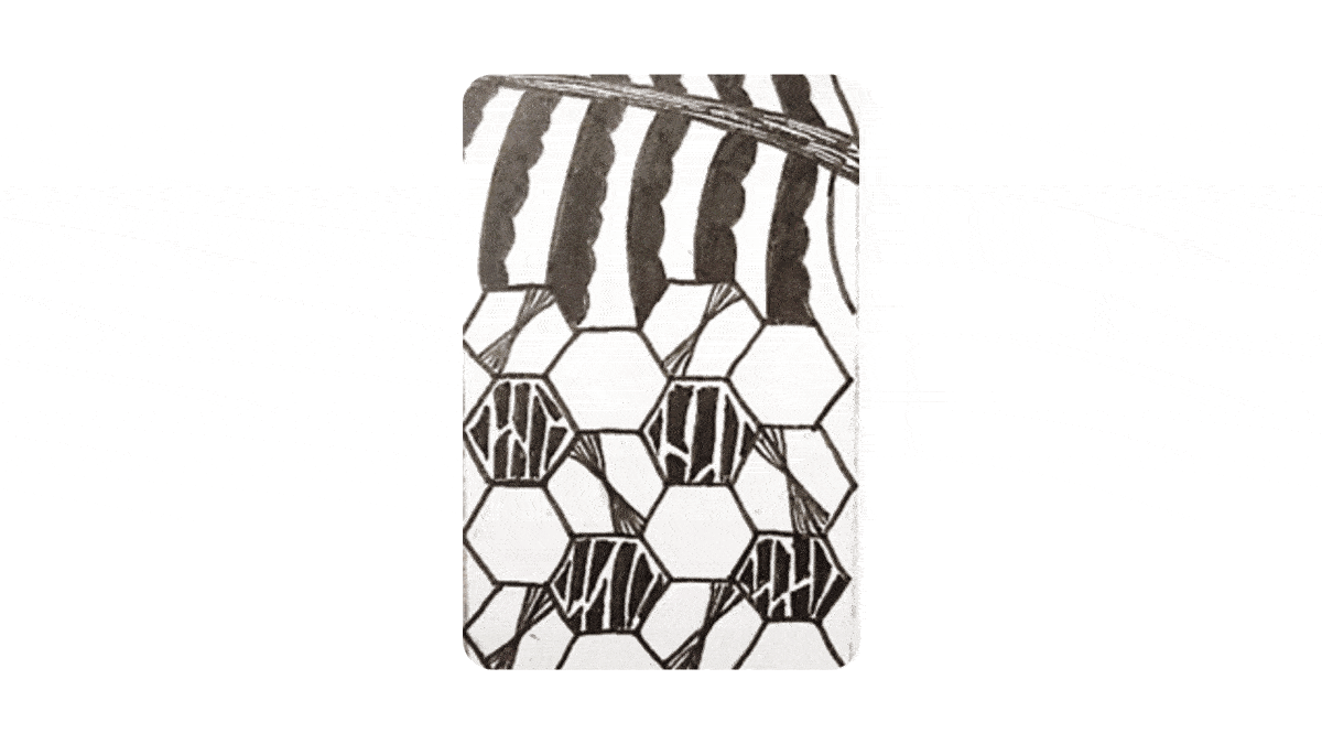 ezgif.com-optimize (3).gif