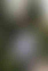 Papa en voyage au Maroc avec un bébé