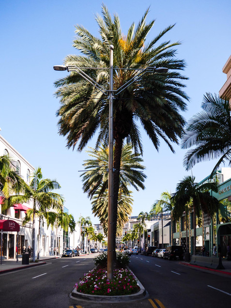 Rodeo drive
