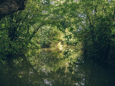 Marais poitevin