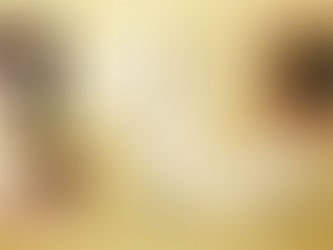 竹生島・宝厳寺ご奉納