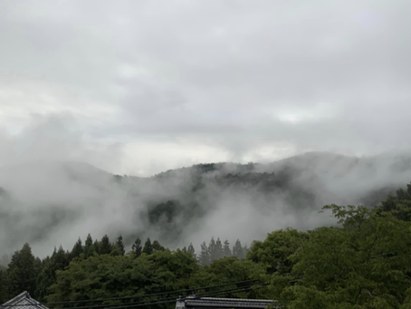 吉野山に広がる世界