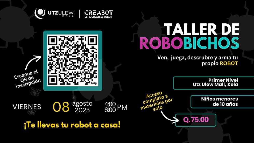 Taller de RoboBichos/Robobugs workshop