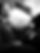 01469712-e0a0-443a-b441-666e11d31240_edi