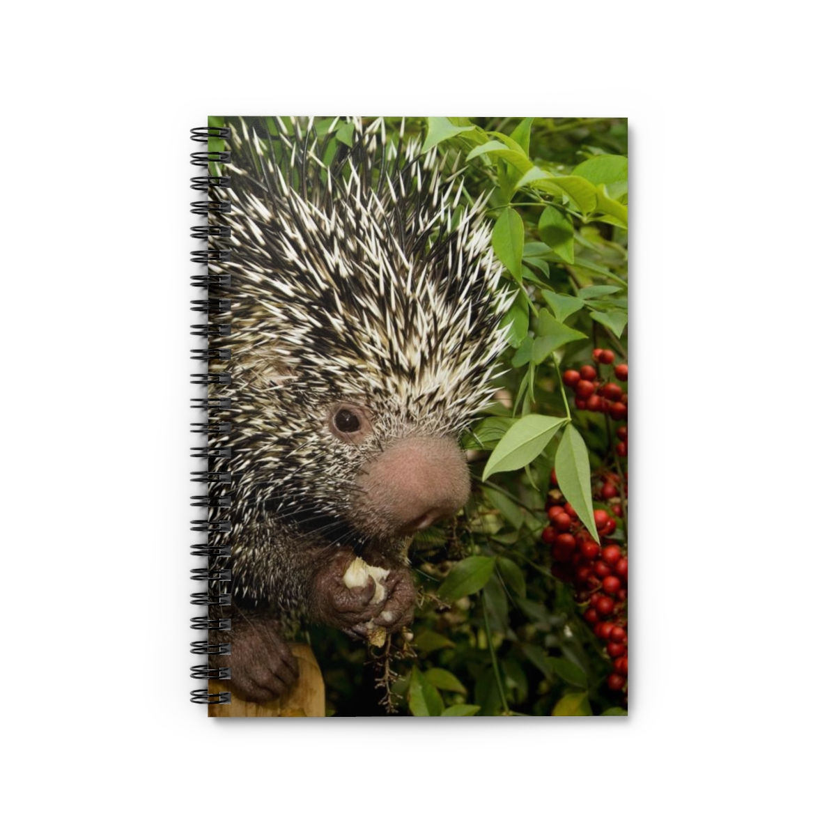 Porcupine Spiral Notebook - Lined