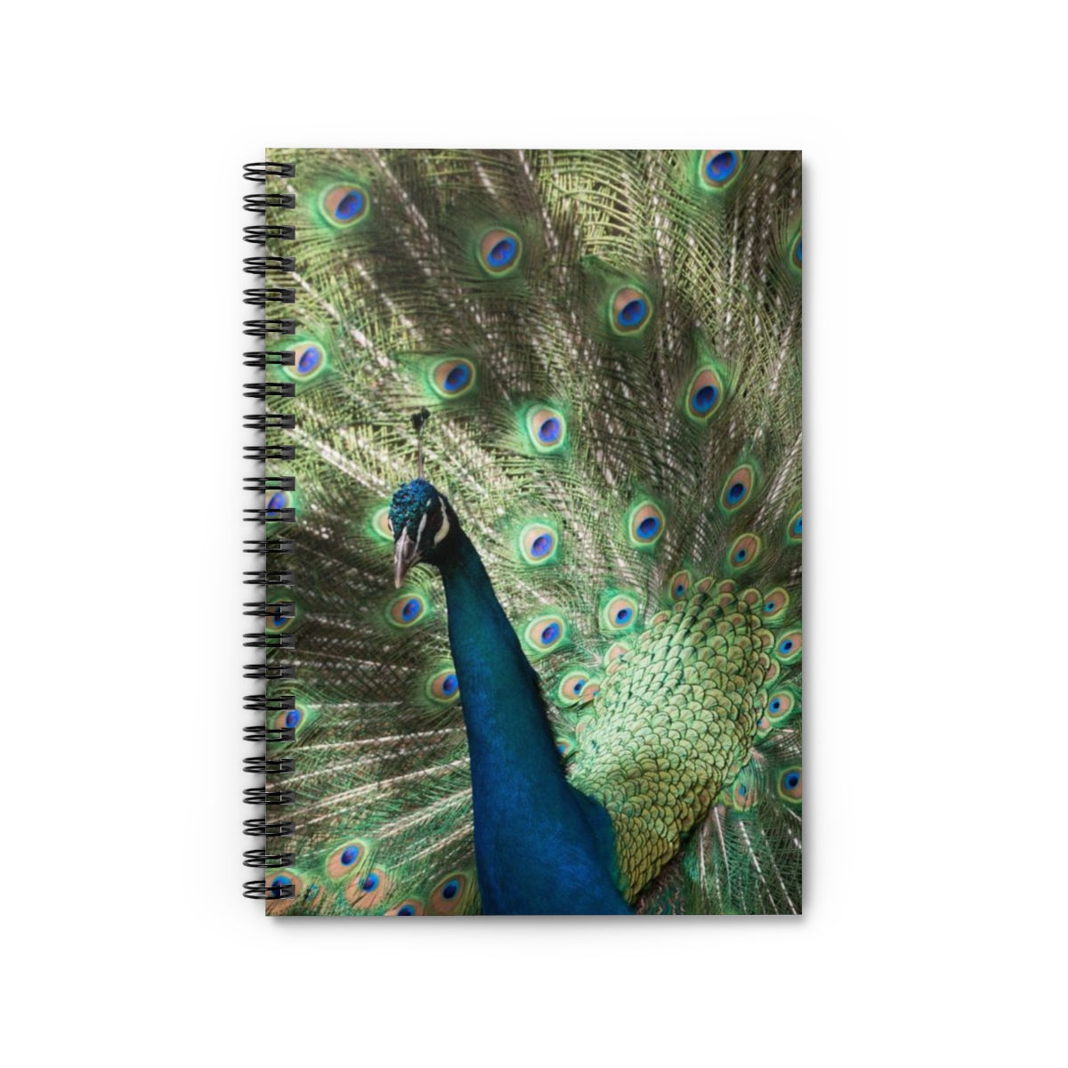 Peacock Spiral Notebook - Lined