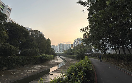 IMG_2888.jpeg