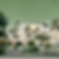 6 (2).png