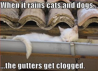 Gutter cleaning Sheffield