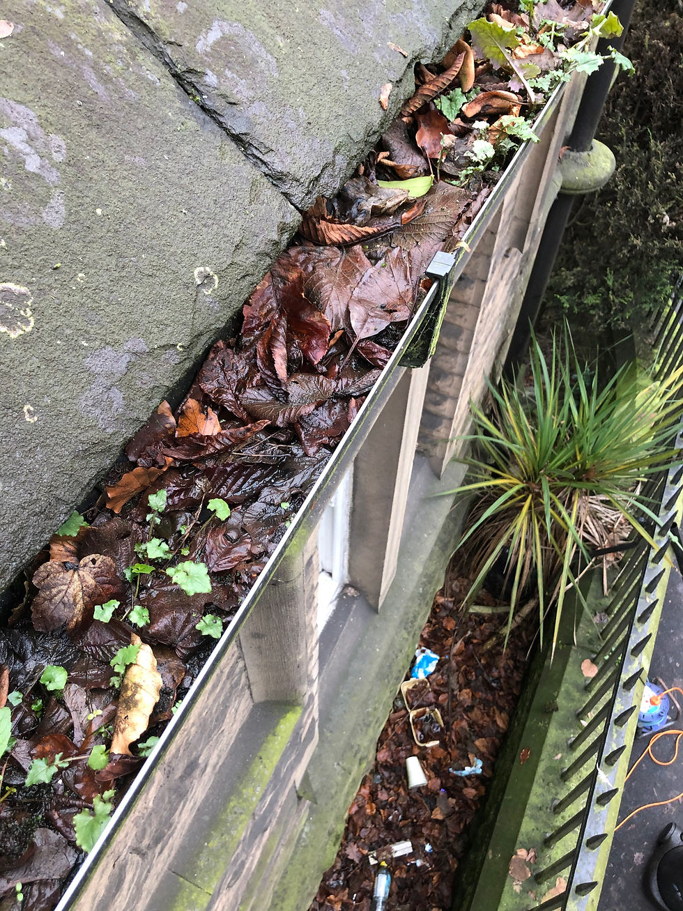 Gutter Cleaning Sheffield