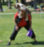 FrisbeeDog.jpeg
