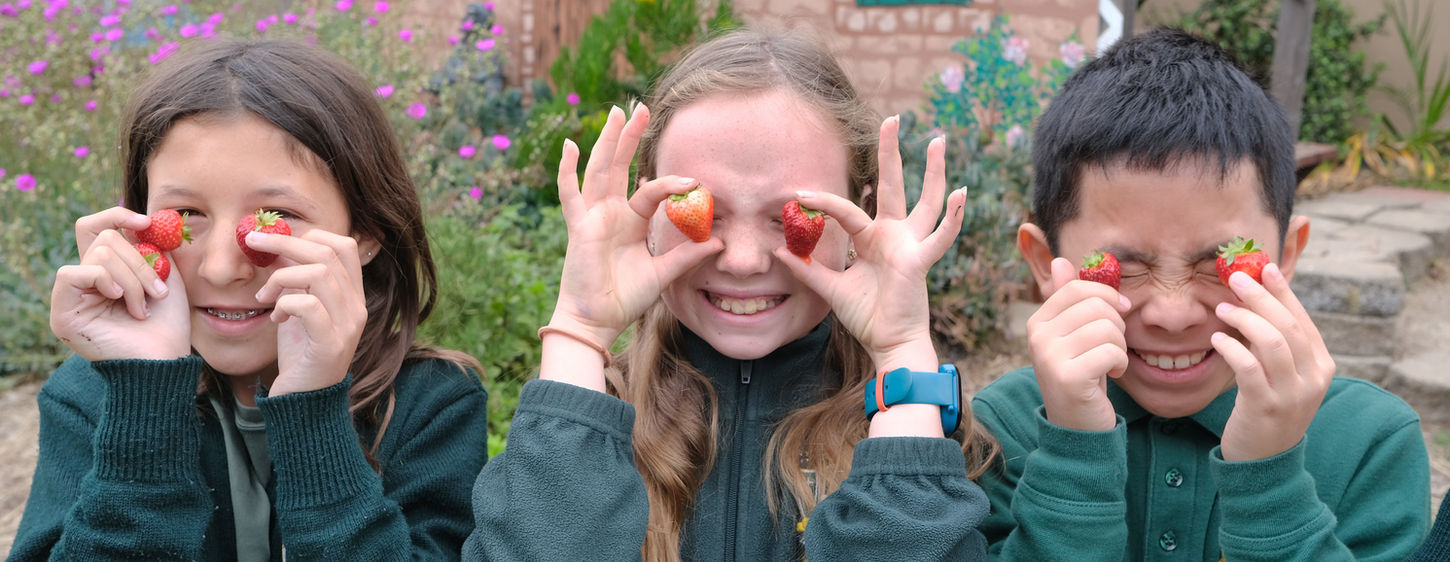 St Martin of Tours FINAL 41.jpg