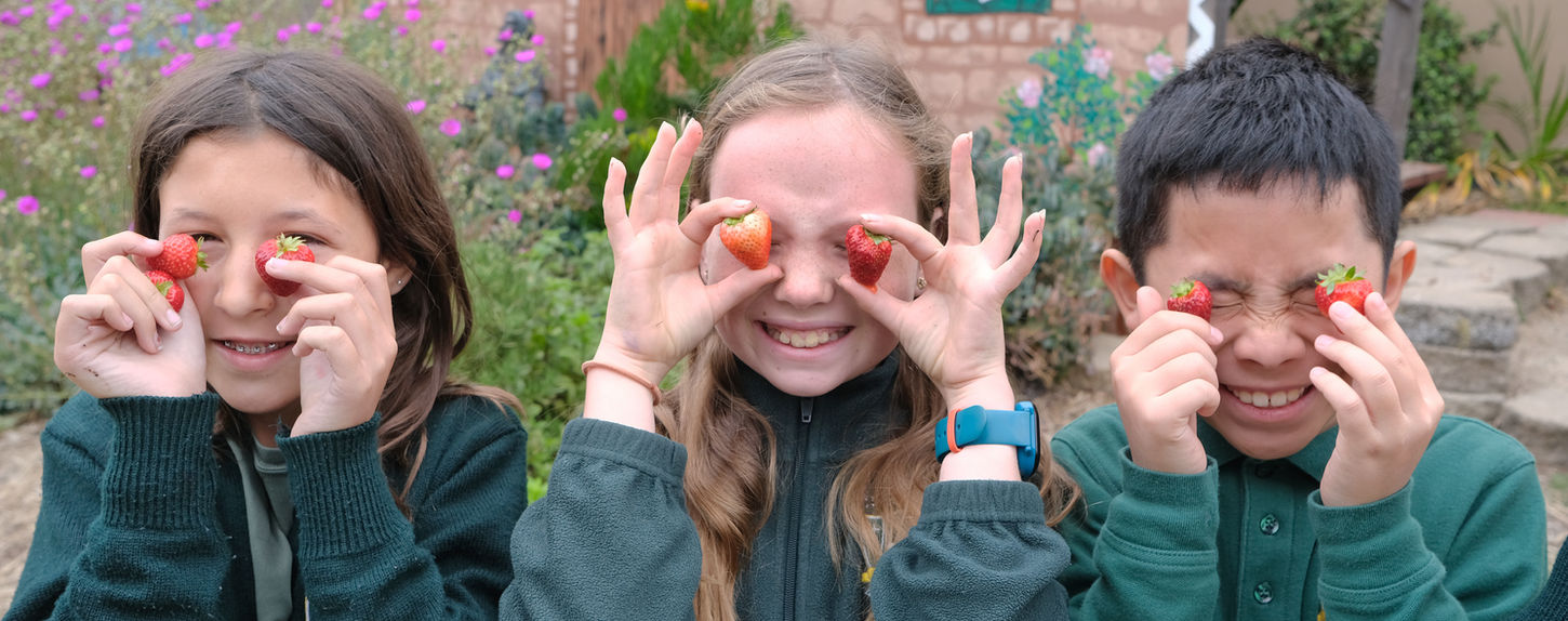 St Martin of Tours FINAL 41.jpg