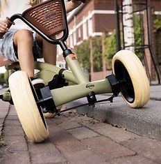 BERG-Buzzy-USP3-Stable (1).jpg