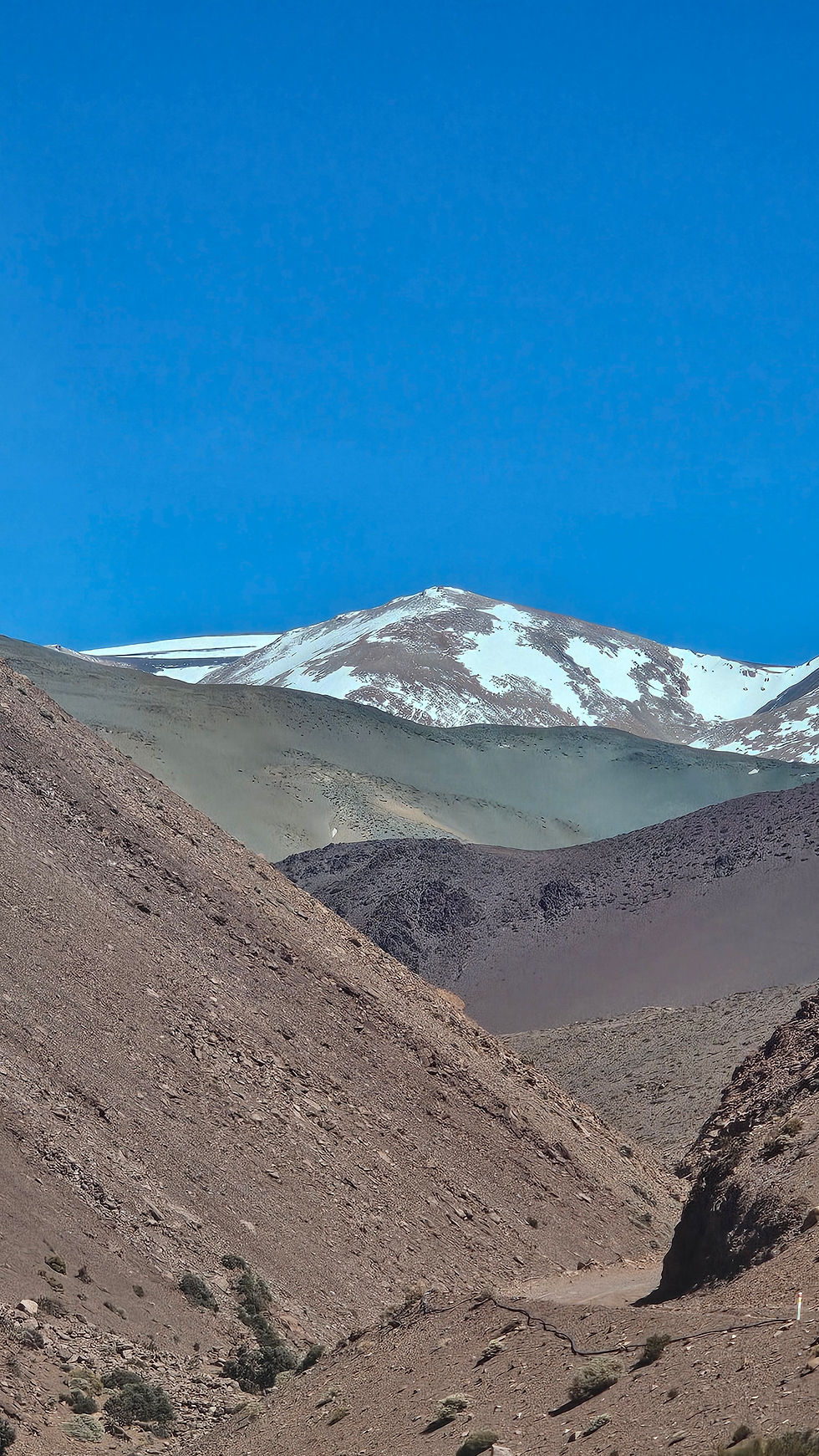 La OMPT recorre el camino hacia Laguna Brava y descubre la inmensidad de la alta montaña riojana