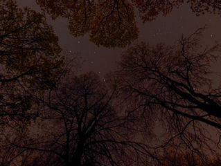 Prehistoric Stargazing