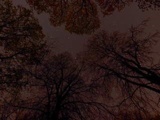 Prehistoric Stargazing