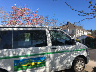 Spring is on the way in, lockdown on the way out!