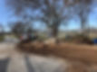 B33C01F6-1C3A-4B6D-BD4B-B22250008733.jpeg