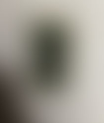 コンセント交換