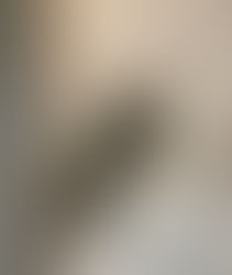 照明スイッチ交換