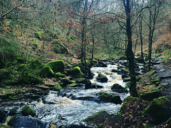 The perfect day in Sheffield