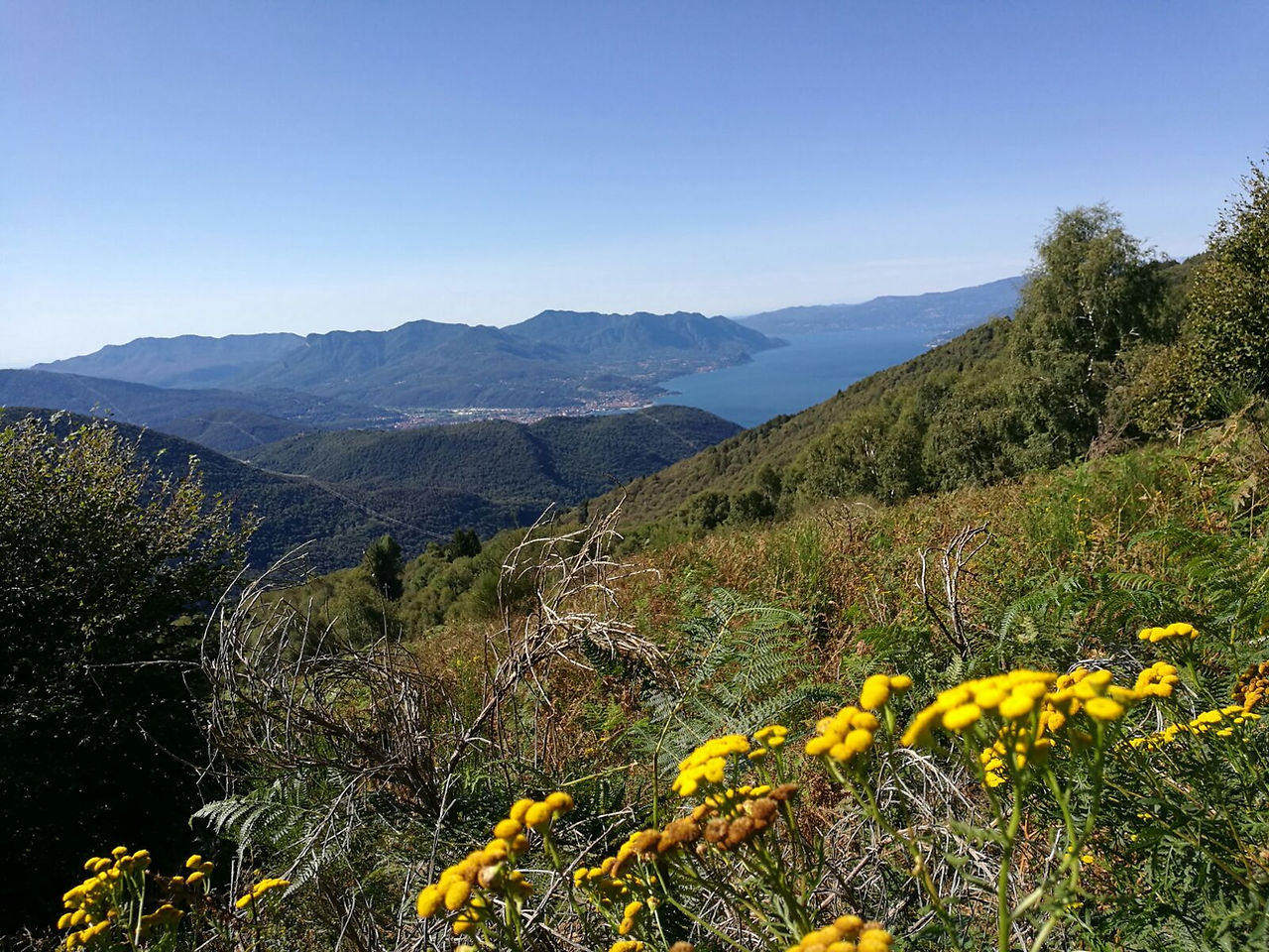 Scorcio sul Lago Maggiore