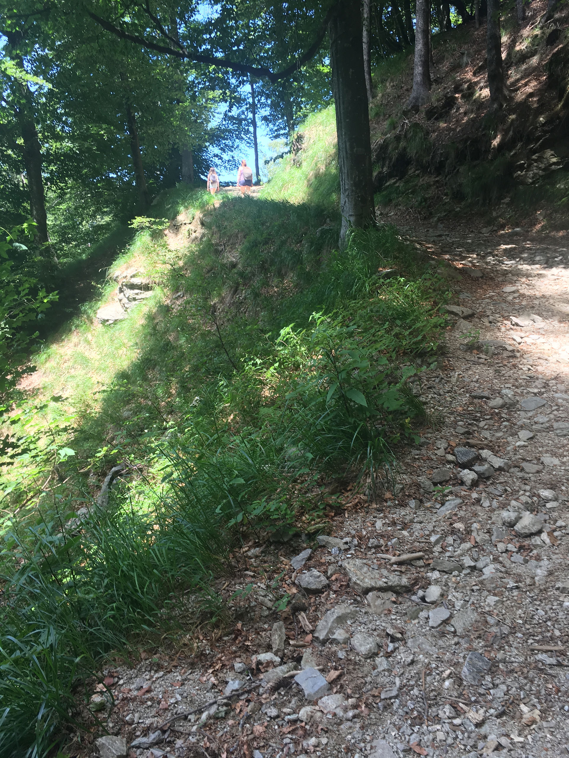 Leggeri tratti in salita