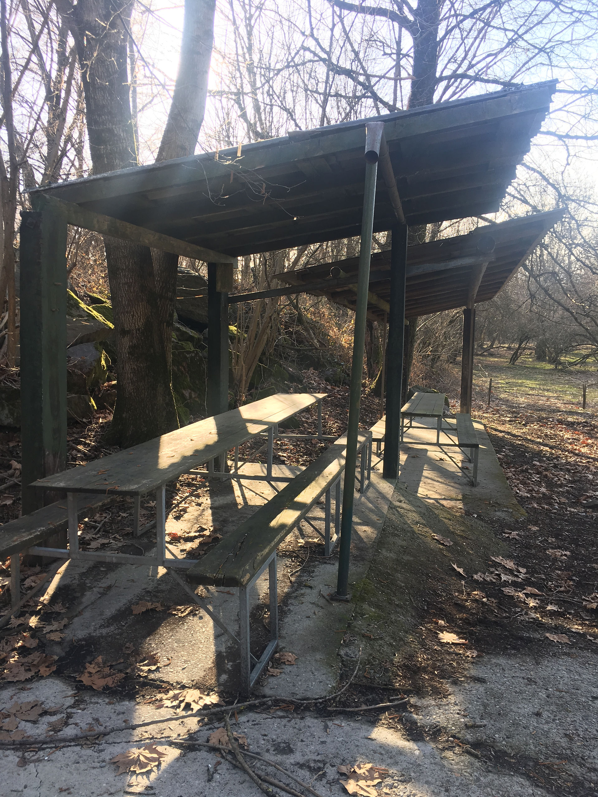 Area picnic