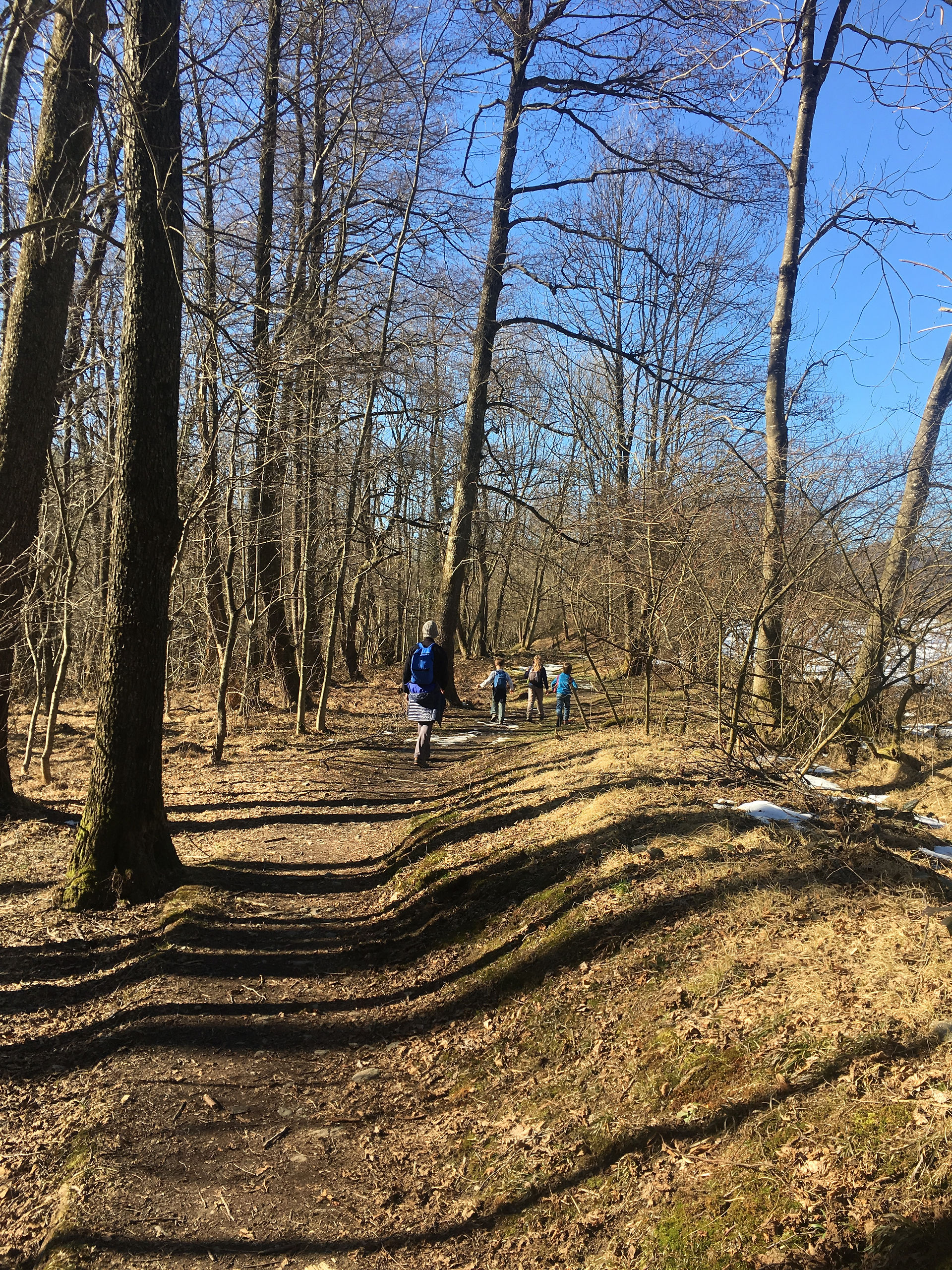 Passeggiando alle Bolle