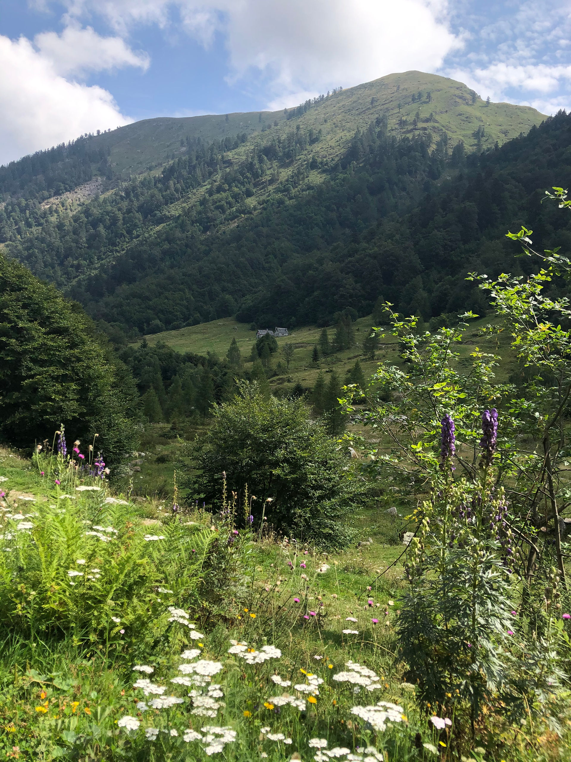 Valle vista dal lato opposto 