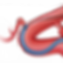Illustration of an artery depicting a catheter catching on branch ledges