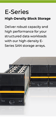 Nexsan E-Series Storage.png
