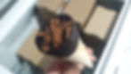 Top Cone