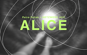 ALICE(1).png