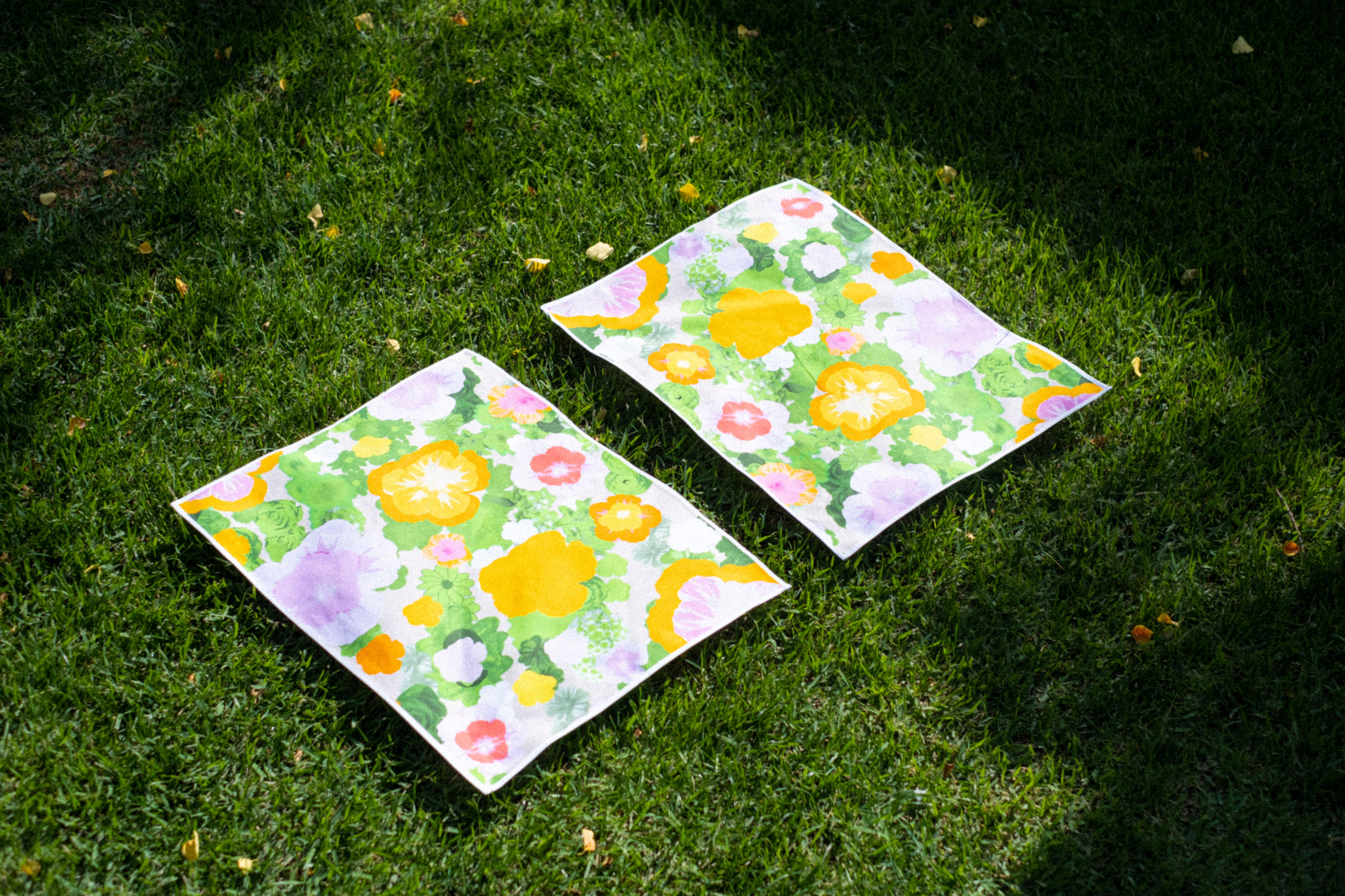 Violets Fiesta Placemats - Set of 2