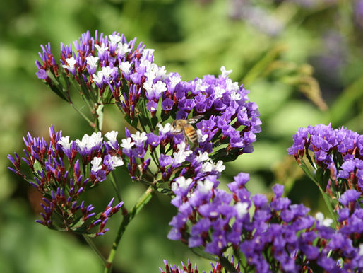 A Snippet of Existence