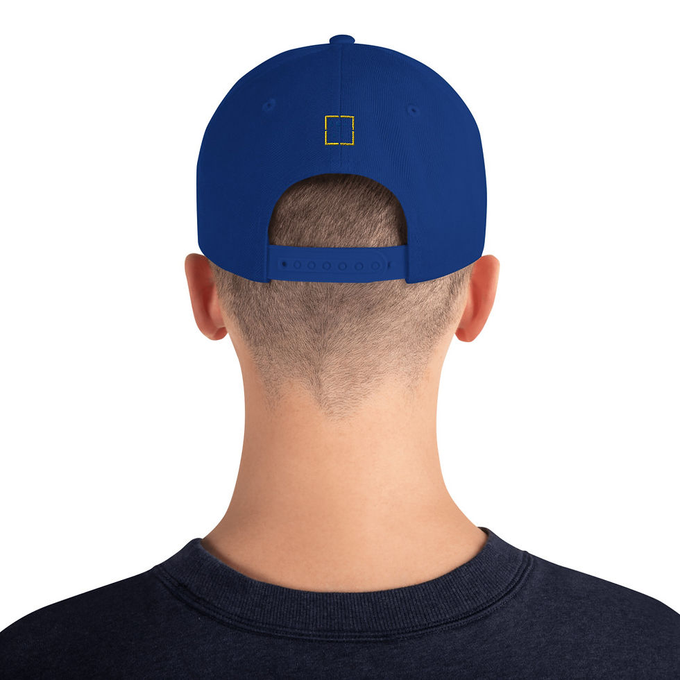 Thumbnail: T1D Snapback Hat