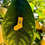 Thumbnail: cloudflower sock pin